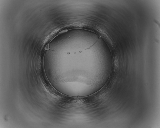 X0000101210492200807111037