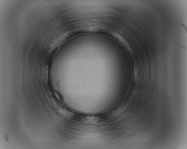 X0000101210493200807111037