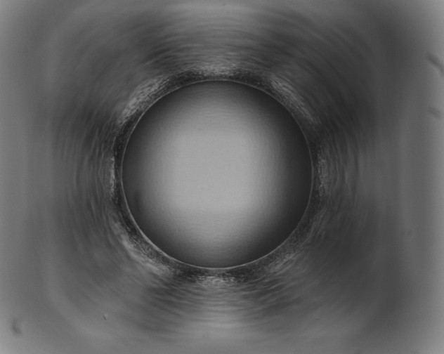 X0000101210494200807111037