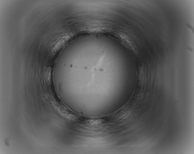 X0000101210495200807111037