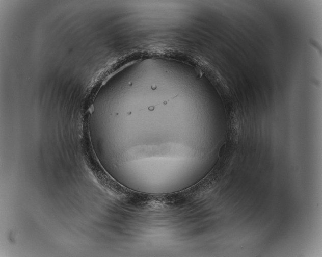 X0000101210496200807111037