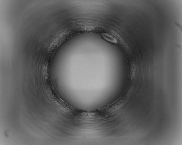 X0000101210497200807111037