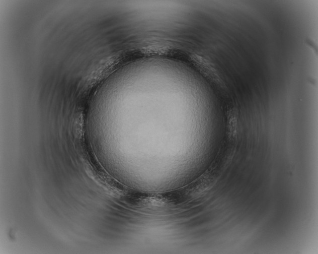 X0000101210498200807111037