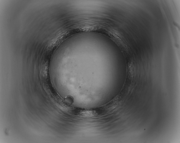 X0000101210499200807111037