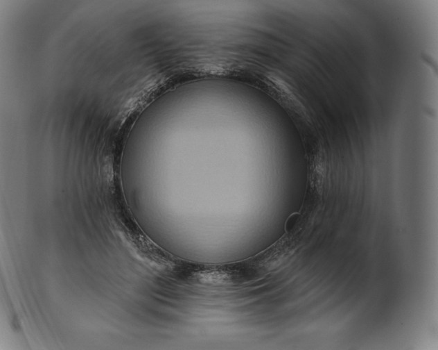 X0000101210500200807111037