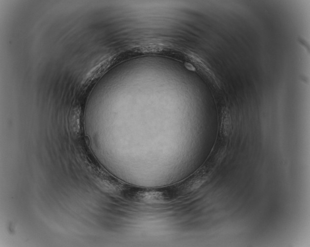 X0000101210501200807111037