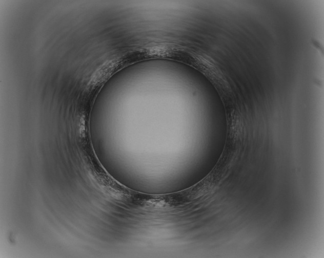 X0000101210502200807111036