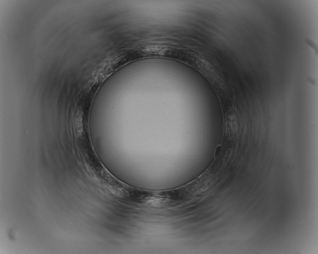 X0000101210504200807111036