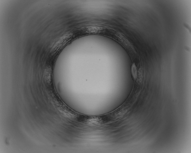 X0000101210505200807111036