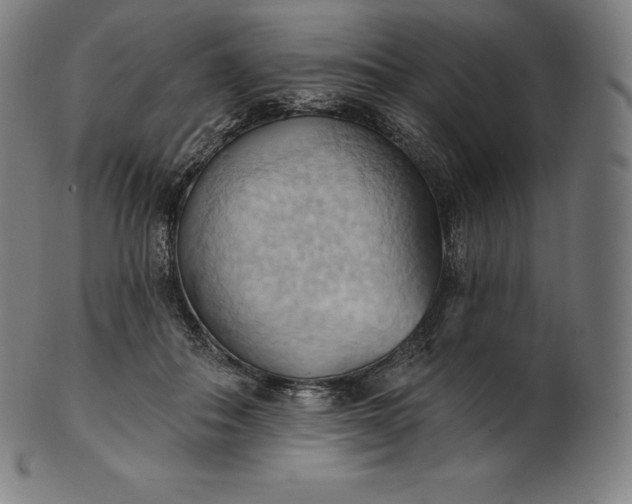 X0000101210506200807111036