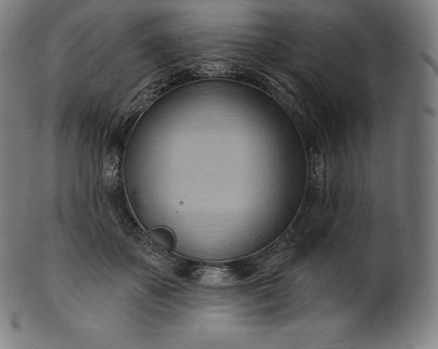 X0000101210507200807111036