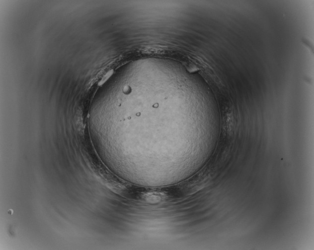 X0000101210508200807111036