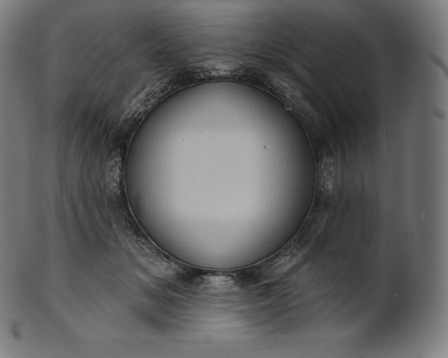 X0000101210509200807111036