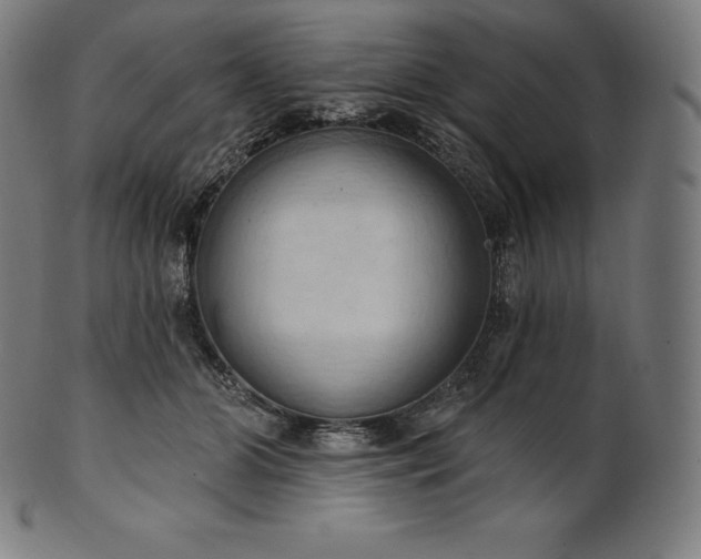 X0000101210510200807111036