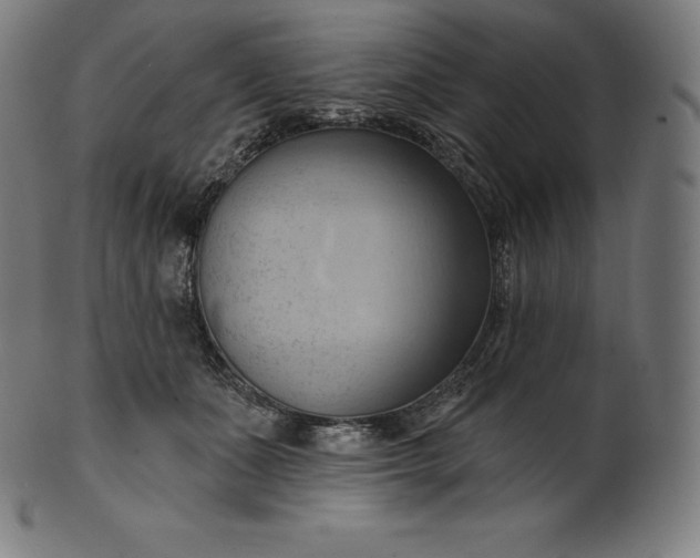 X0000101210511200807111036