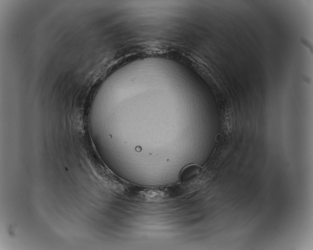 X0000101210512200807111036