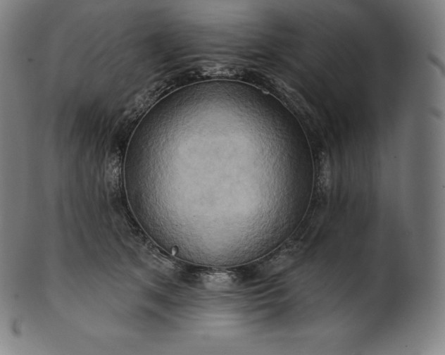 X0000101210513200807111036