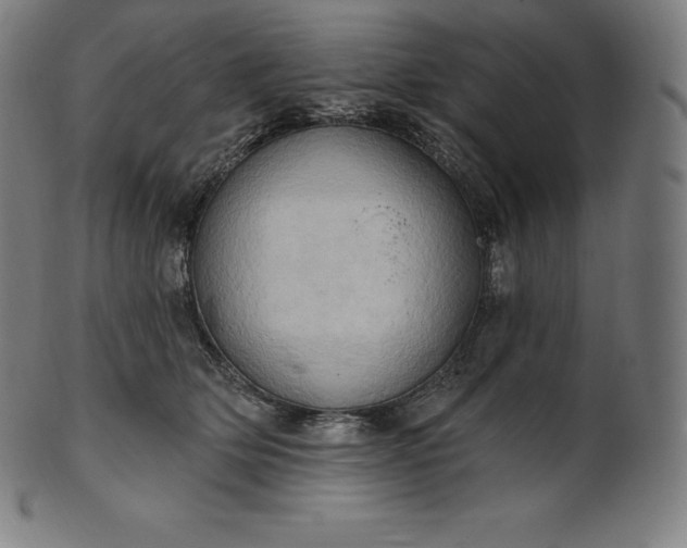 X0000101210514200807111036