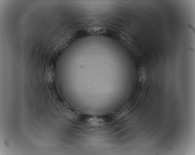 X0000101210515200807111036