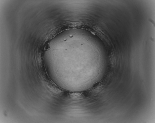 X0000101210516200807111036