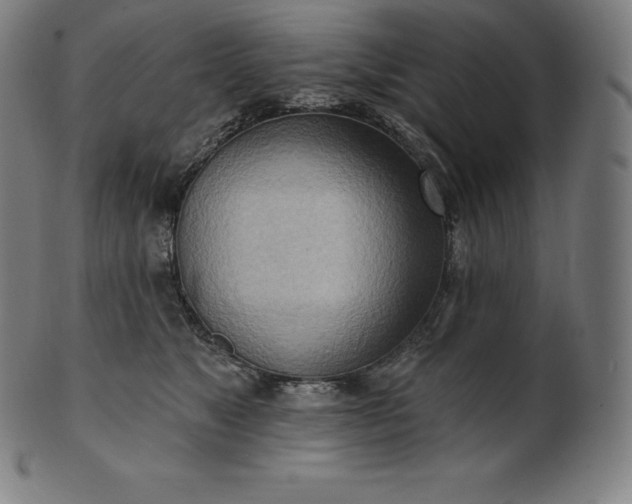 X0000101210517200807111036