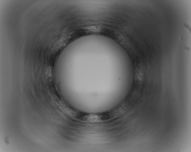 X0000101210518200807111036