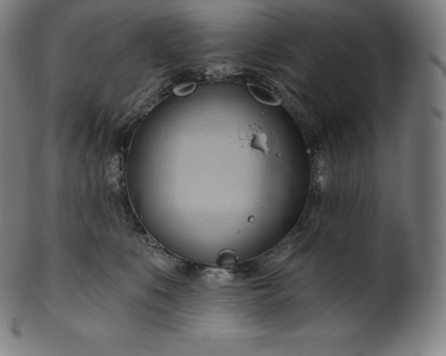 X0000101210519200807111036