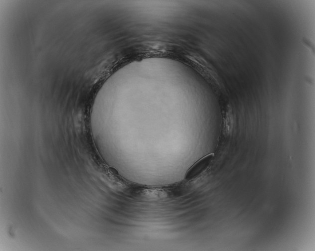 X0000101210520200807111036