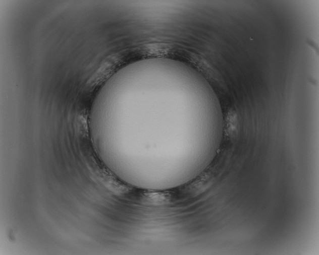 X0000101210522200807111036