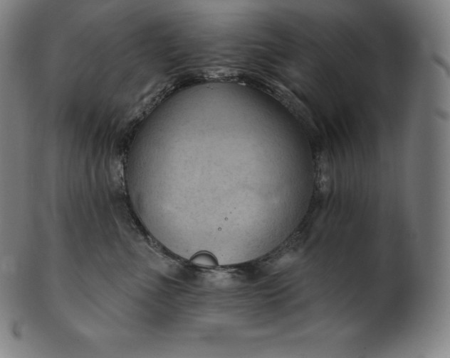 X0000101210523200807111036