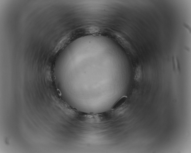 X0000101210524200807111036