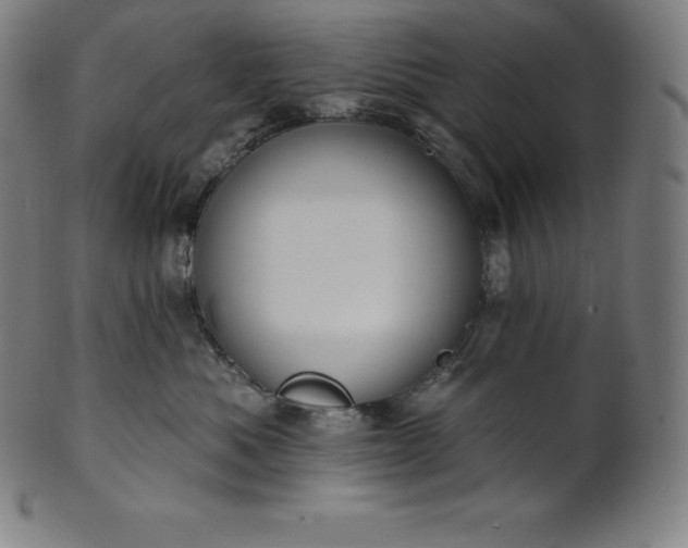 X0000101210525200807111036