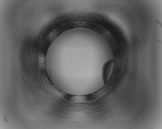 X0000101210526200807111036