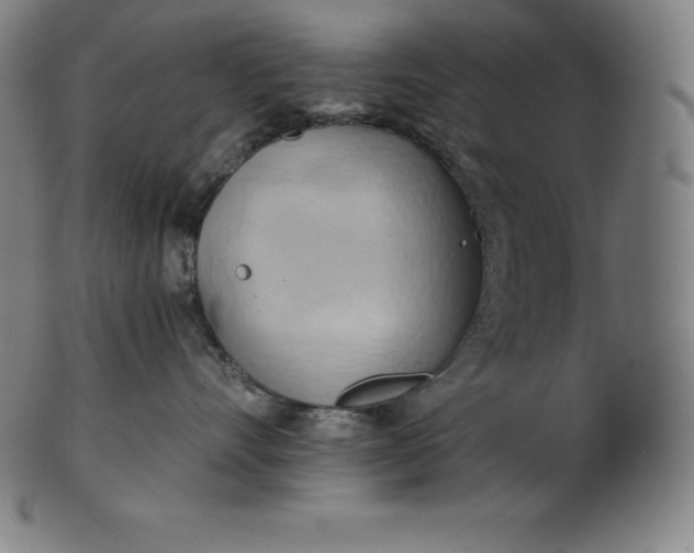 X0000101210528200807111036