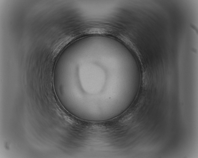 X0000101210529200807111035