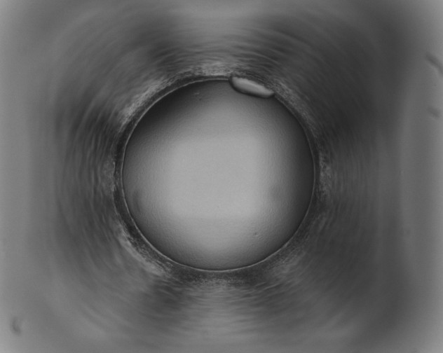 X0000101210530200807111035