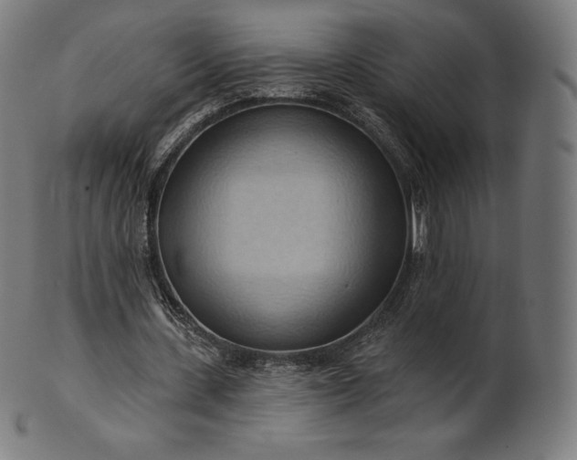 X0000101210531200807111035