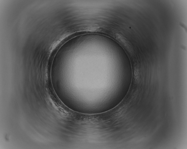 X0000101210532200807111035