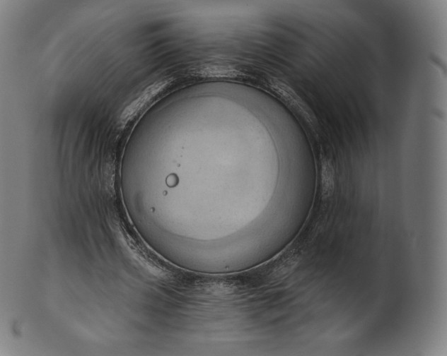 X0000101210533200807111035