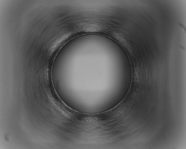 X0000101210535200807111035