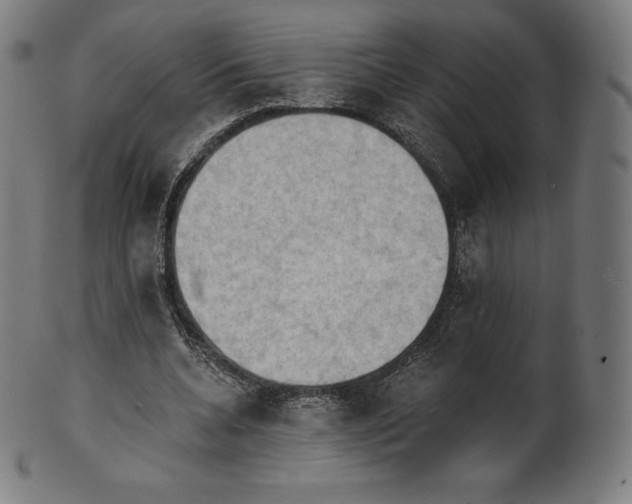 X0000101210536200807111035