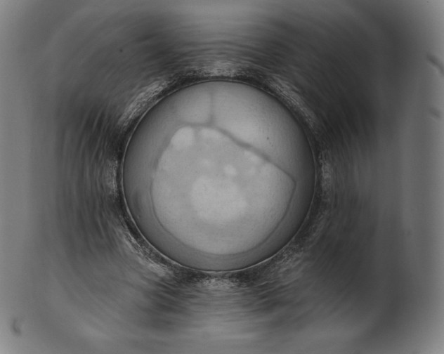 X0000101210537200807111035