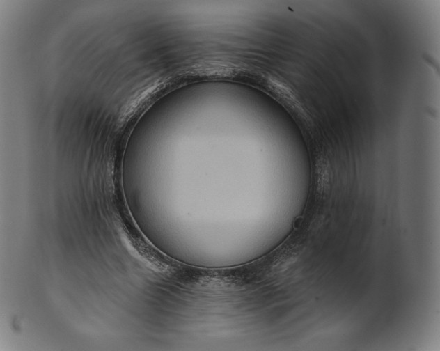 X0000101210538200807111035