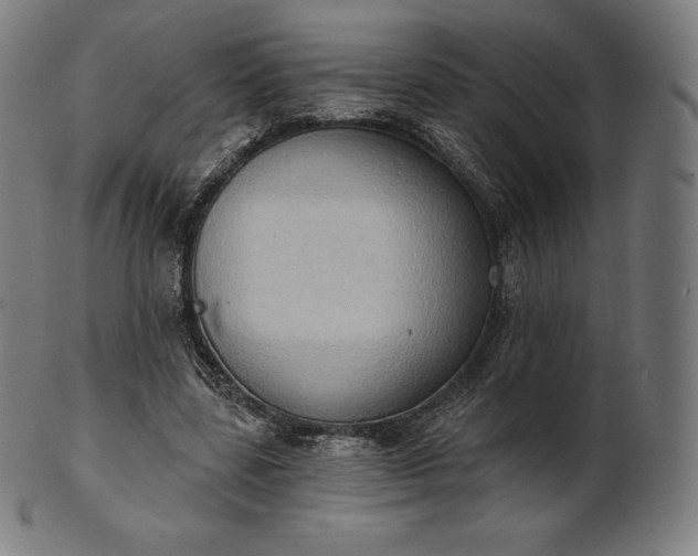 X0000101210539200807111035