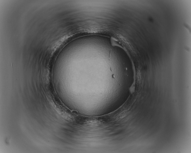 X0000101210540200807111035