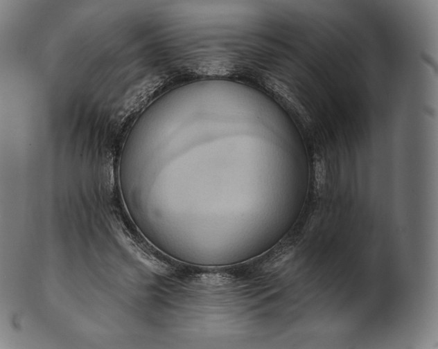 X0000101210541200807111035