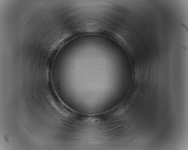 X0000101210542200807111035