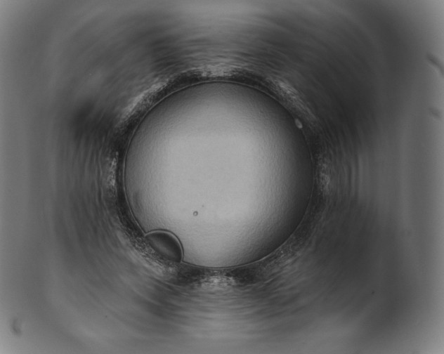 X0000101210543200807111035