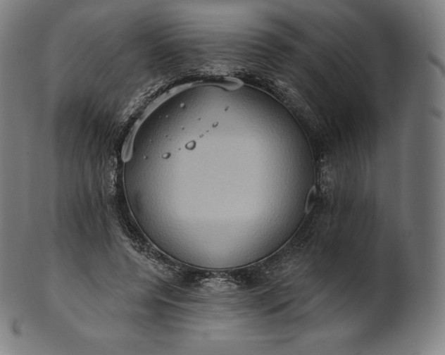 X0000101210544200807111035