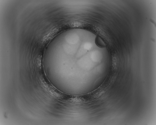 X0000101210545200807111035